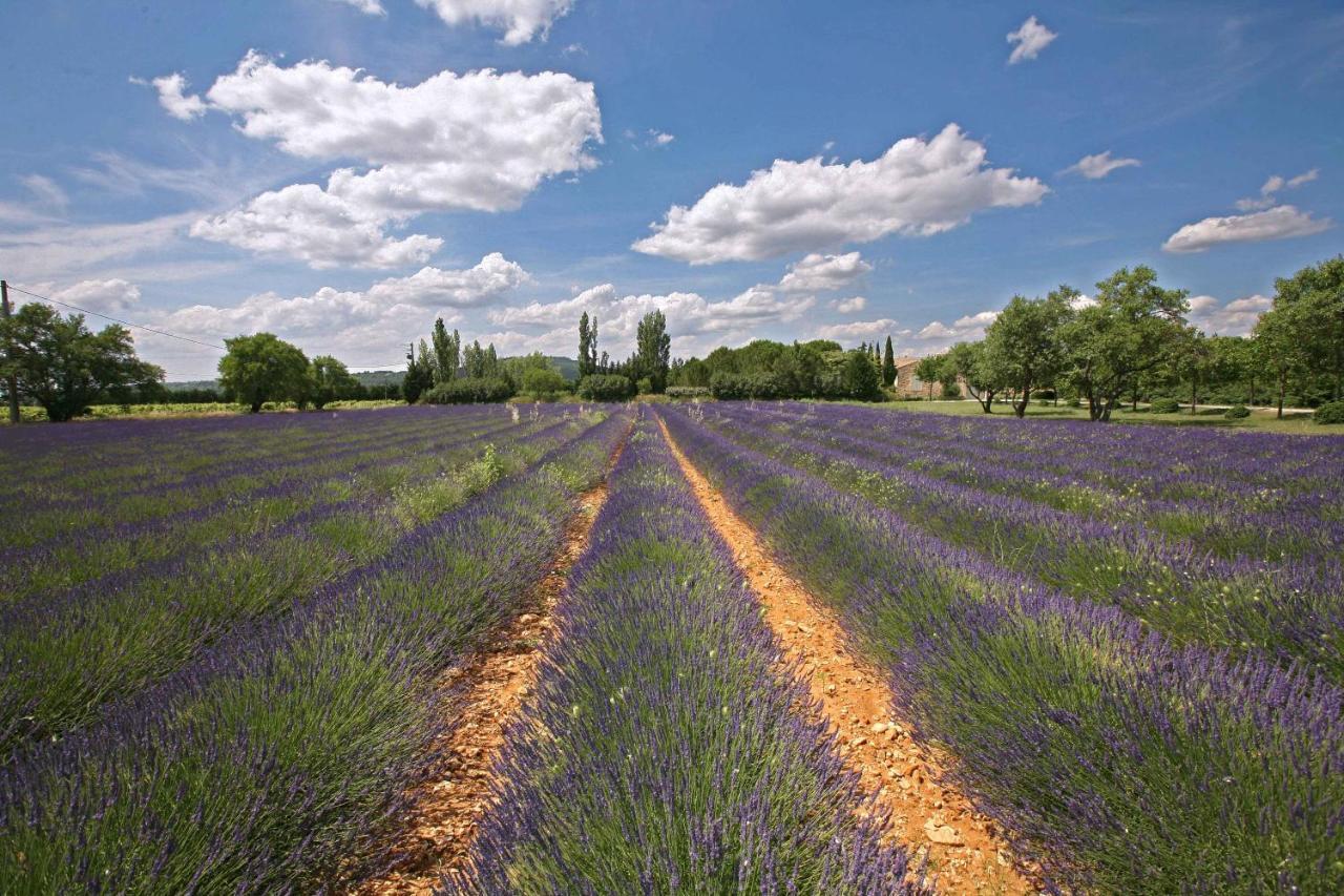 Gites Dans Mas En Pierres Robion en Luberon Экстерьер фото